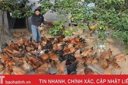 Nhân 'hạt giống đỏ' trong phong trào phụ nữ cơ sở ở Hà Tĩnh