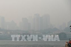 Australia: Nguy cơ ô nhiễm nguồn nước từ tàn tro do cháy rừng