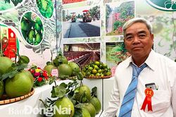 Nông dân xuất sắc trong xây dựng nông thôn mới