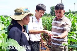 Nỗ lực phòng chống dịch bệnh trên cây trồng, vật nuôi