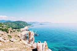 Lạc giữa 'rừng khô Phan Rang'