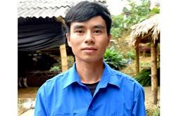 Phát triển kinh tế với mô hình nuôi trâu vỗ béo