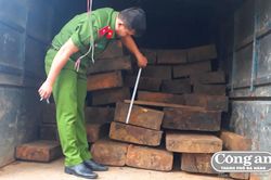 Chặn bắt 3 ô-tô vận chuyển 60 phách gỗ lậu trong đêm