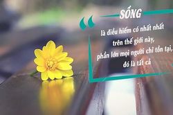 Mỗi người đều có cách sống của riêng mình, chúng ta không cần phải ngưỡng mộ cuộc sống của người khác