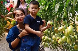 Nông nghiệp canh nông - mô hình thiết yếu của du lịch Đà Lạt