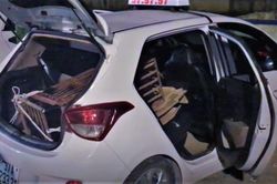Gấu ngựa nặng 140 kg bị tiêm thuốc mê trên taxi