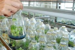 Thúc đẩy hoạt động thẩm định hồ sơ cấp phép tiếp cận nguồn gen