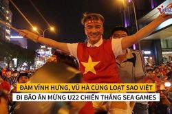Đàm Vĩnh Hưng, Vũ Hà cùng loạt sao Việt đi 'bão' mừng HCV Sea Games