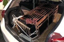 Hà Tĩnh: Bắt giữ xe taxi chở trái phép động vật hoang dã