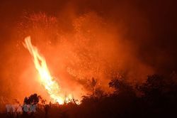 Cháy rừng khiến Indonesia kinh tế thiệt hại kinh tế hơn 5 tỷ USD