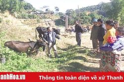 Huyện Mường Lát: Tăng cường công tác tuyên truyền phòng chống đói, rét cho đàn vật nuôi