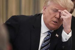 Tội trạng ông Trump đã rõ ràng?