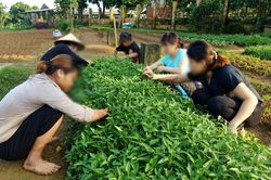Cơ sở cai nghiện ma túy số 2 Hà Nội: Chất lượng chăm sóc đặt lên hàng đầu