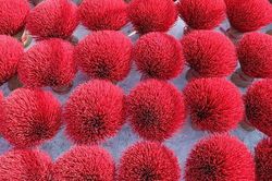 Ước vọng mùa xuân trên Quảng Phú Cầu