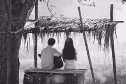 'Có chàng trai viết lên cây' cùng mối tình 'mắt biếc'