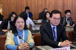 Việt Nam tích cực tham gia Phong trào Chữ thập đỏ và Trăng lưỡi liềm đỏ quốc tế