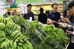 Sơn Hà - Quảng Ngãi: Kinh tế phát triển nhờ chương trình sinh kế bền vững