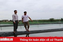 Huyện Hoằng Hóa chuyển đổi 405 ha diện tích trồng lúa kém hiệu quả