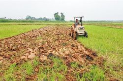 Tập trung phòng trừ sâu bệnh ngay từ đầu vụ đông xuân