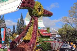 Trích xuất camera truy tìm kẻ trộm tiểu cảnh hoa của Festival