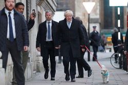 Ngộ nghĩnh hình ảnh Thủ tướng Anh Boris Johnson dắt chó cưng đi bỏ phiếu