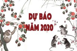 Phụ nữ thiên can này vốn thông minh trời phú, thanh tú xinh đẹp, bị thị phi vùi dập mà hậu vận vẫn được hưởng cuộc đời sung túc, đủ đầy