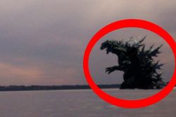 Quái thú Godzila nhiều khả năng sẽ xuất hiện tại Nhật Bản vào năm sau