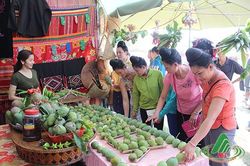 Nông nghiệp Sơn La một chặng đường đổi mới phát triển