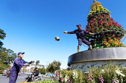 Diện mạo mới cho phố hoa Đà Lạt trước khi vào hội