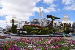 'Đàn chim lạc' xuống phố đón Festival Hoa