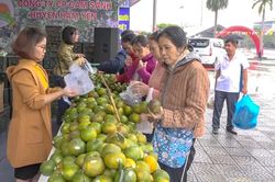 Cam Hàm Yên Hướng tới giá trị 'vàng'