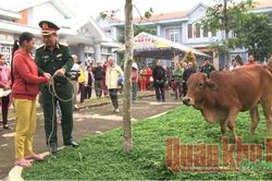 Quân khu 5 thăm, tặng quà các hộ nghèo, gia đình chính sách