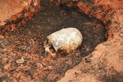 Bất ngờ phát hiện hài cốt bé trai có hộp sọ 'ngoài hành tinh'