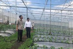 Lâm Đồng: HTX là kim chỉ đỏ giúp người dân giảm nghèo bền vững