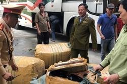 Xe khách biển số Lào chở hàng lậu