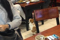 Bất ngờ với 'gương mặt vàng trong làng ăn xin' cực yêu vì hành động này