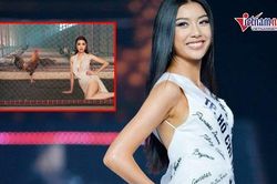 Thúy Vân thích thú vì được đặt biệt danh Hoa hậu Chuồng gà, Miss Dừa