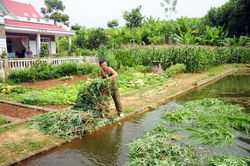 Chủ trương đúng của Huyện ủy Bảo Yên