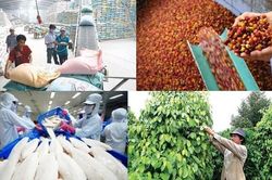 Tổng kim ngạch xuất nhập khẩu đạt mức kỷ lục 500 tỷ USD: Sức mạnh từ nội lực
