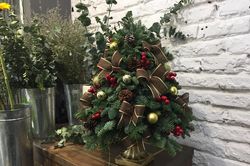 Cây xứ lạnh tiền triệu hút khách trước Noel
