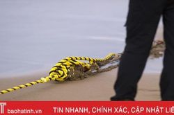 Mặt trận mới của thương chiến Mỹ - Trung: Cáp viễn thông dưới biển
