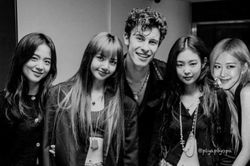 Shawn Mendes chia sẻ về lần đầu gặp BlackPink: 'Họ là những cô gái vô cùng tử tế và ngọt ngào'