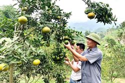 Điểm tựa của bản
