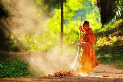 Rửa chén bát, cào lá khô : Trí tuệ từ các bậc tiền nhân