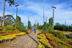Sắc màu rực rỡ trước giờ khai hội Festival hoa Đà Lạt