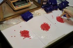 Phát hiện, bắt giữ nhiều đối tượng tàng trữ, vận chuyển, buôn bán ma túy