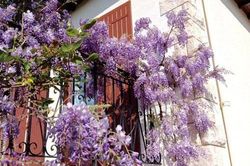 3 tháng xa cách, chồng nổi máu ghen vì vết bầm trên cổ vợ