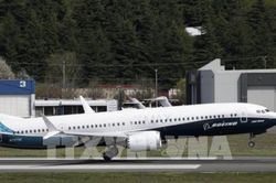 Các hãng hàng không thận trọng đánh giá quyết định dừng sản xuất 737 MAX của Boeing