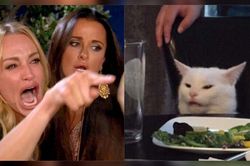 Câu chuyện phía sau meme cô gái la chú mèo gây bão 2019