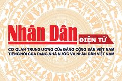 Gia tăng vi phạm trong kinh doanh xăng dầu